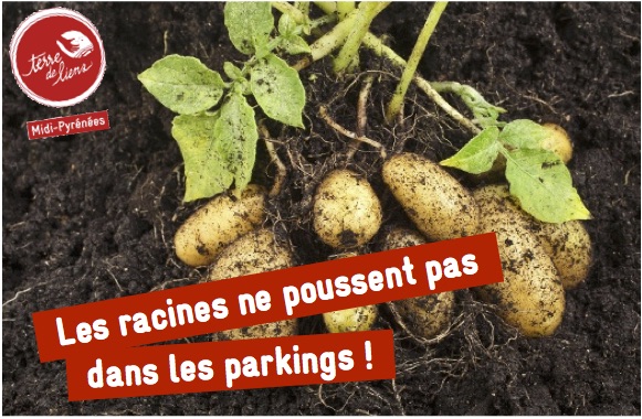 site de rencontre midi pyrenees